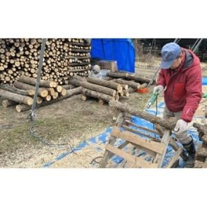 ふるさと納税 原木しい茸栽培キット【1497851】 兵庫県猪名川町