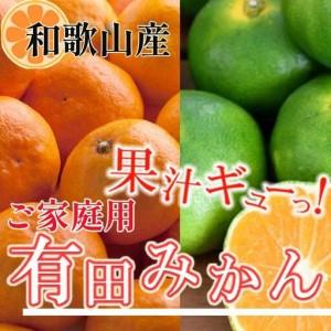 ふるさと納税 ［先行予約］家庭用 有田みかん1kg＋250g（傷み補償分）［2026年10月初旬から2027年1月末日頃順次発送予定］ 和歌山県九度山町 | 