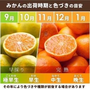 ふるさと納税 ［先行予約］家庭用 有田みかん1kg＋250g（傷み補償分）［2026年10月初旬から2027年1月末日頃順次発送予定］ 和歌山県九度山町 |  | 01