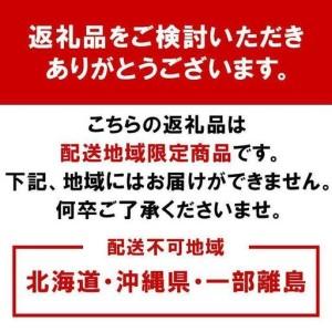 ふるさと納税 ［先行予約］家庭用 有田みかん1kg＋250g（傷み補償分）［2026年10月初旬から2027年1月末日頃順次発送予定］ 和歌山県九度山町 |  | 03