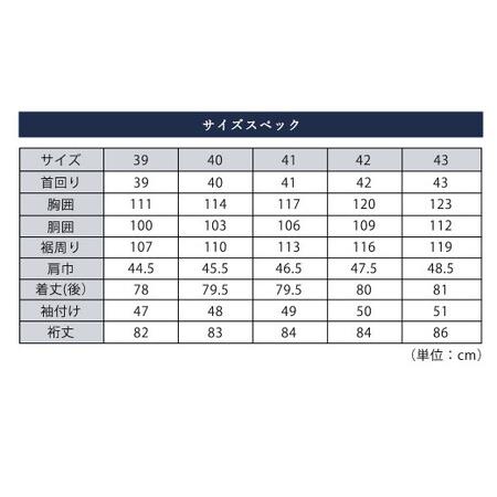 ふるさと納税 ふるさと納税限定 HITOYOSHI シャツ ツイル 2枚 セット セミワイド (41-84)  熊本県人吉市 - 1
