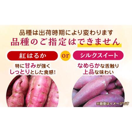 ふるさと納税 紅はるかorシルクスイート蜜芋10kg サツマイモさつまいも国産 ZCN001 熊本県山鹿市の画像