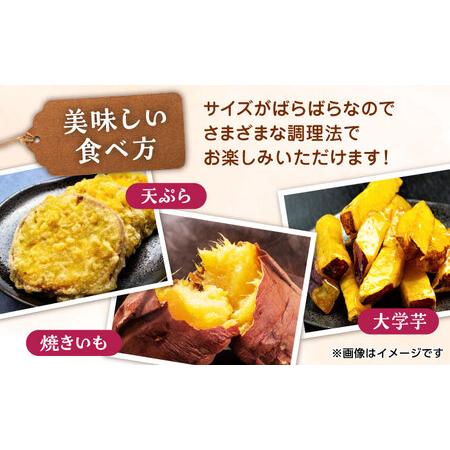 ふるさと納税 紅はるかorシルクスイート蜜芋10kg サツマイモさつまいも国産 ZCN001 熊本県山鹿市の画像