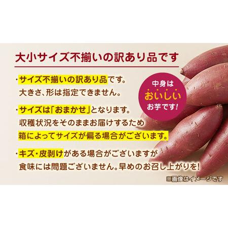 ふるさと納税 紅はるかorシルクスイート蜜芋10kg サツマイモさつまいも国産 ZCN001 熊本県山鹿市の画像