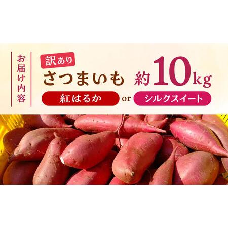 ふるさと納税 紅はるかorシルクスイート蜜芋10kg サツマイモさつまいも国産 ZCN001 熊本県山鹿市の画像