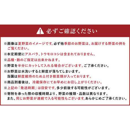 ふるさと納税 【有機JAS認定】【4ヶ月定期便】 季節の野菜詰め合わせ 〜有機野菜セットA〜 北海道北広島市_3