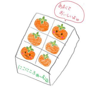 ふるさと納税 【令和6年産先行予約】にこにこふぁーむのあまーい庄内柿　糖度16度以上　大玉ピカピカ特選　2L×12個（化粧箱入り）　A55-601 山形県鶴岡市｜furunavi｜04