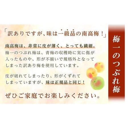 ふるさと納税 紀州南高梅《つぶれ梅セット》はちみつ梅 塩分3%(2.4kg)【白浜グルメ市場】 和歌山県白浜町｜furunavi｜02