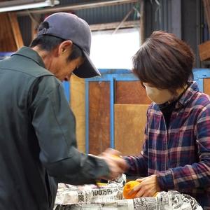 ふるさと納税 ▼和歌山 有田 広川 不知火 しらぬい デコポン 果物 くだもの ギフト / 2月中旬発送【有田不知火】産地直送　大好き不知火３kgご.. 和歌山県広川町｜furunavi｜02