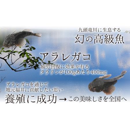 ふるさと納税 ふりかけ3種セット（あられがこ、かに風味、焼き海苔） [A-057003] / ふりかけ 福井県福井市の画像