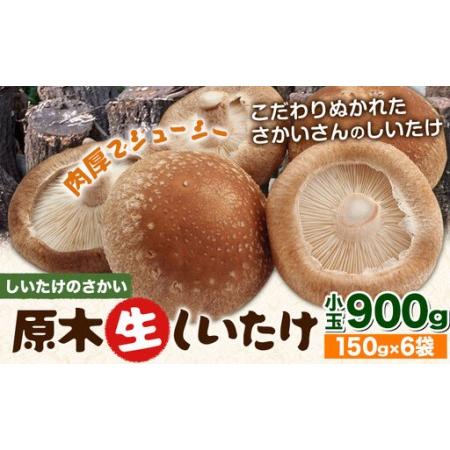 ふるさと納税 阿蘇・産山村産 原木生しいたけ 小玉900g(150g×6袋) 椎茸 しいたけ 生しいたけ しいたけのさかい [6月中旬-11月下旬頃出荷].. 熊本県産山村