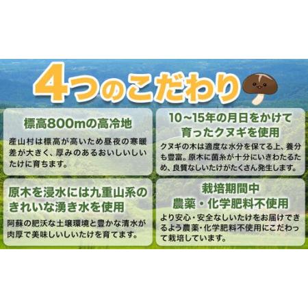 ふるさと納税 阿蘇・産山村産 原木生しいたけ 小玉900g(150g×6袋) 椎茸 しいたけ 生しいたけ しいたけのさかい 《6月中旬-11月下旬頃出荷》.. 熊本県産山村_3