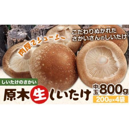 ふるさと納税 阿蘇・産山村産 原木生しいたけ 中玉800g(200g×4袋) 椎茸 しいたけ 生しいたけ しいたけのさかい[6月中旬-11月下旬頃出荷].. 熊本県産山村