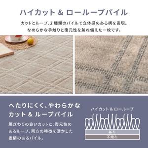 ふるさと納税 日本製 平織カーペット 江戸間10畳 約352×440cm グレージュ 1枚 600098690｜抗菌 防臭 新生活 引越し 模様替え 快適 買い替.. 大阪府泉大津市の画像