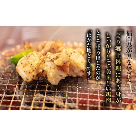 ふるさと納税 【全6回定期便】【化粧箱入】はかた地どり モモ・ムネ肉 合計500g 塩胡椒付焼き鳥 焼き肉 すき焼き用 [ABCJ121]  福岡県築上町の画像