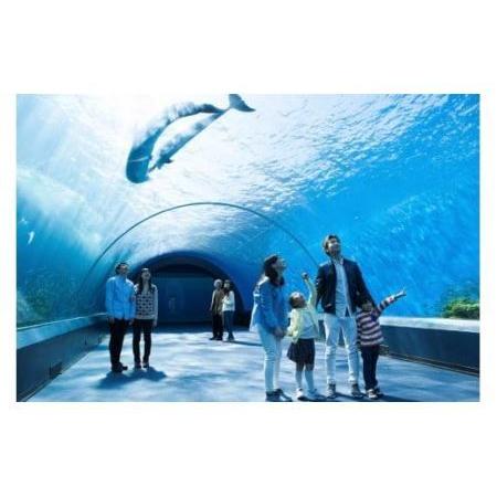 ふるさと納税 横浜・八景島シーパラダイス　ワンデーパス（水族館4施設＋アトラクション）大人2名さま 神奈川県横浜市｜furunavi｜02