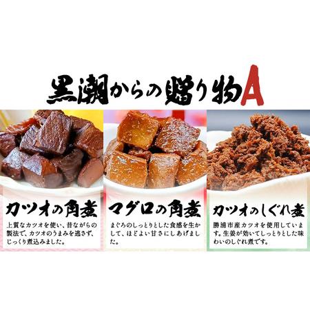 ふるさと納税 【ふるなびWEEK対象】千葉県勝浦市 黒潮からの贈り物A(佃煮詰合せ) 有限会社 佃煮近江《30日以内に出荷予定(土日祝除く)》カツオの.. 千葉県勝浦市