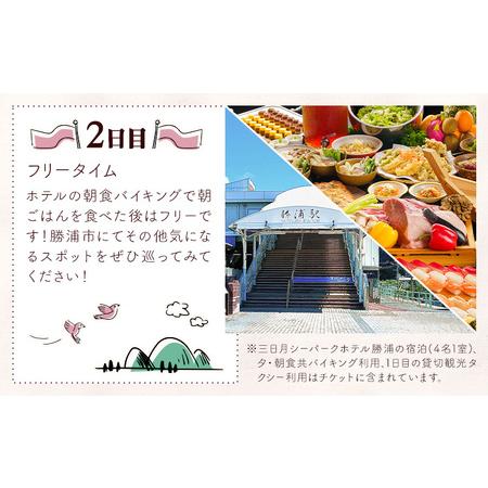 ふるさと納税 【平日・日曜日】勝浦「私のパワースポットめぐり」と 三日月シーパークホテル勝浦（1泊2日4名様）株式会社トラベル・ナビ《90日以.. 千葉県勝浦市_2