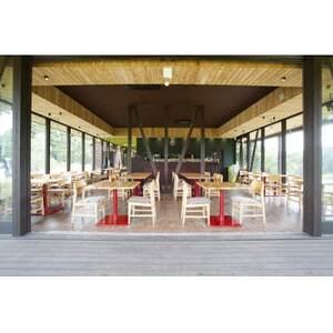 ふるさと納税 【THE FARM CAFE】　旬野菜を味わうプレミアムランチコース お食事ペア券【1273109】 千葉県香取市 