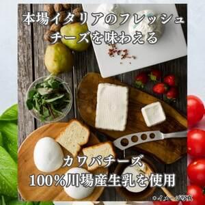 ふるさと納税 4種のチーズとヨーグルトセット【配送不可地域 ふるさと納税 4種のチーズとヨーグルトセット【配送不可地域