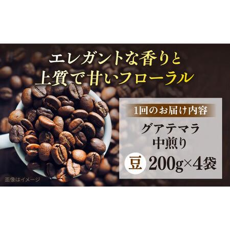 ふるさと納税 【全6回定期便】コーヒー豆 自家焙煎 中煎り グアテマラ 200g×4 TSUKIKOYA COFFEE ROASTER ツキコヤ 珈琲 こだわり 横須.. 神奈川県横須賀市の画像