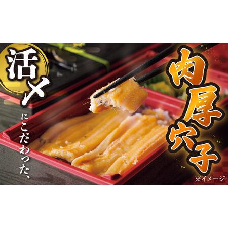 ふるさと納税 【全3回定期便】対馬 煮あなご膳 セット アナゴ  [WAC036]あなご 穴子重 穴子 煮穴子  長崎県対馬市の画像