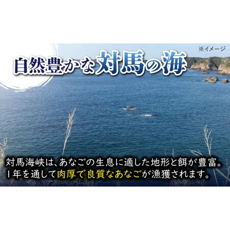 ふるさと納税 【全3回定期便】対馬 煮あなご膳 セット アナゴ  [WAC036]あなご 穴子重 穴子 煮穴子  長崎県対馬市の画像