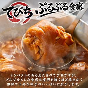 ふるさと納税 てびちそば（10食）生麺タイプ 特製スープ付き｜沖縄そば【宮良そば】てびち　人気 沖縄県浦添市_2