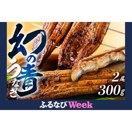 ふるさと納税 特上 幻の青うなぎ 2尾 うなぎ 丑の日 田原市 愛知県田原市
