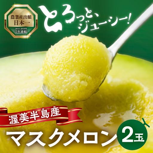 ふるさと納税 [先行予約-6月中旬〜発送]マスクメロン 2玉 メロン マルカベジフル 愛知県田原市
