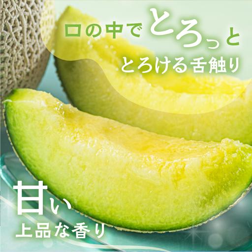 ふるさと納税 【2027年6月中旬-発送】マスクメロン 2玉 メロン マルカ