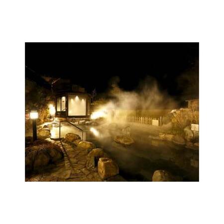 ふるさと納税 富士眺望の湯 ゆらり 入泉券 14枚 NSL011 山梨県鳴沢村の画像