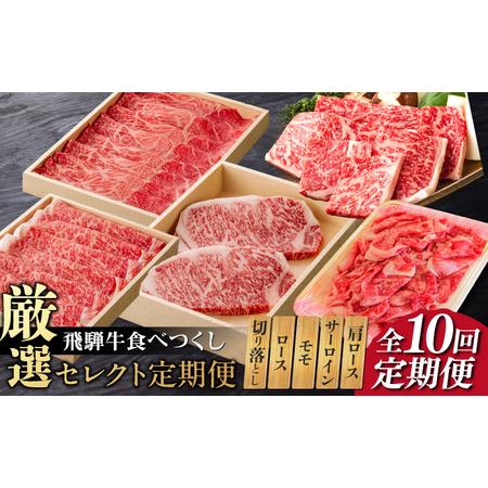 ふるさと納税 [10回定期便]飛騨牛 厳選セレクト定期便 / 飛騨牛 牛 牛肉 肉 岐阜市/だるまミート [ANBE002] 岐阜県岐阜市