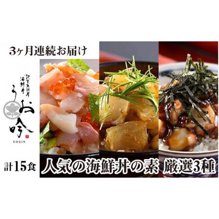ふるさと納税 [047-f003] 定期便 「人気の海鮮丼の素 厳選3種」(計15食) 福井県敦賀市