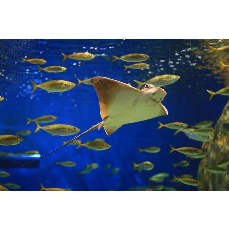 ふるさと納税 【遊園地や水族館をたっぷり満喫４名分】碧南市公共施設利用券セット　H028-010 愛知県碧南市  UOI1178982874(11700円)