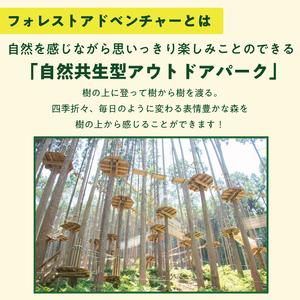 ふるさと納税 【ふるさと納税】全力で遊び全力で学ぶ！ワンヘルス研修&キャノピーコースセット1名様体験チケット [a0412] 株式会社 FOREST D.. 福岡県添田町｜furunavi｜05