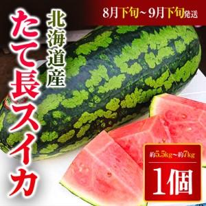 ふるさと納税 [2026年8月下旬より発送]北海道厚沢部町産 たて長スイカ 1個 約5.5kg〜約7kg(8月下旬から9月下旬の間に発送) ASO026 北海道厚沢部町