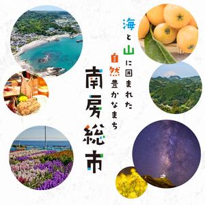 ふるさと納税 ふりかけ(飯上生姜 5パック・飯上ひじき5パック) mi0005-0004 おかか 鰹節 国産 生姜 ふりかけ ひじき 房州産 ハ゜ック 繁盛 高.. 千葉県南房総市の画像