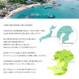ふるさと納税 ふりかけ(飯上生姜 5パック・飯上ひじき5パック) mi0005-0004 おかか 鰹節 国産 生姜 ふりかけ ひじき 房州産 ハ゜ック 繁盛 高.. 千葉県南房総市の画像