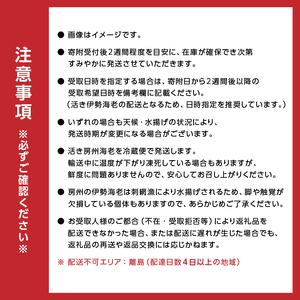 ふるさと納税 房州産大伊勢えび 約2kg 海老 海産物 海鮮 高級食材 贈答品 mi0014-0004 千葉県南房総市の画像