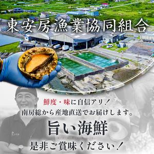 ふるさと納税 房州産大伊勢えび 約2kg 海老 海産物 海鮮 高級食材 贈答品 mi0014-0004 千葉県南房総市の画像