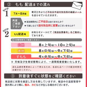 ふるさと納税 山形の白桃 《硬い桃》 2kg 品種おまかせ (5〜9玉) 秀品 山形県産 2024年産【2024年8月中旬頃〜9月下旬頃発送予定】　012-B-MM01.. 山形県寒河江市｜furunavi｜04