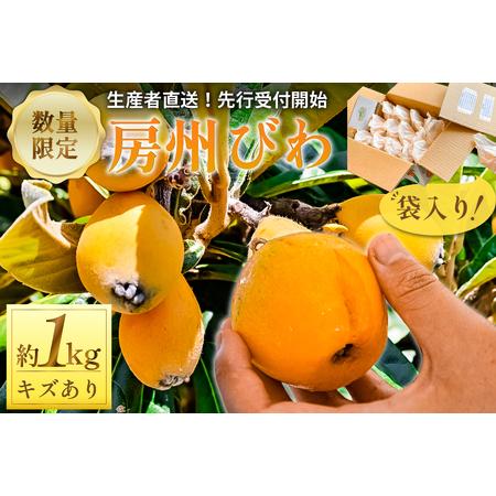 ふるさと納税 [先行受付 2026年5月下旬〜6月中旬発送予定]≪訳あり≫ 生産者直送 房州びわ1キロ袋入り(多少きずあり) mi0044-0013 千葉県南房総市