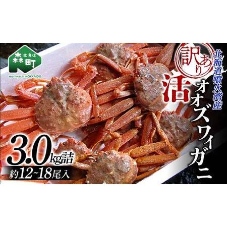 ふるさと納税 【生産者応援！期間限定増量中！】【訳あり】北海道噴火湾産 活オオズワイガニ 3.0ｋｇ詰め込みセット ＜道産ネットミツハシ＞ かに .. 北海道森町｜furunavi｜02