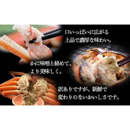 ふるさと納税 【生産者応援！期間限定増量中！】【訳あり】北海道噴火湾産 活オオズワイガニ 3.0ｋｇ詰め込みセット ＜道産ネットミツハシ＞ かに .. 北海道森町