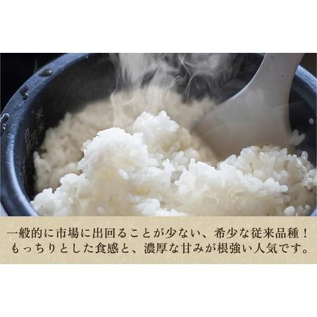 【値下げ・名盤】 ふるさと納税 【定期便12ヶ月毎月お届け】老舗米穀店が厳選 新潟産 従来品種コシヒカリ「七谷米」無洗米10kg（5kg×2）窒素ガス充填パックで.. 新潟県加茂市 【U2873529668】(101200円)