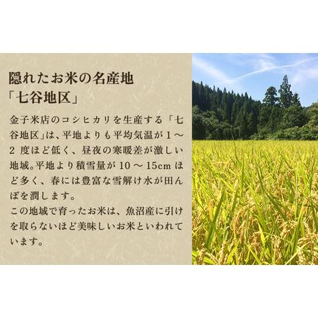 【値下げ・名盤】 ふるさと納税 【定期便12ヶ月毎月お届け】老舗米穀店が厳選 新潟産 従来品種コシヒカリ「七谷米」無洗米10kg（5kg×2）窒素ガス充填パックで.. 新潟県加茂市 【U2873529668】(101200円)