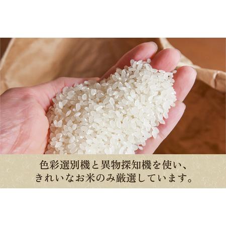 【値下げ・名盤】 ふるさと納税 【定期便12ヶ月毎月お届け】老舗米穀店が厳選 新潟産 従来品種コシヒカリ「七谷米」無洗米10kg（5kg×2）窒素ガス充填パックで.. 新潟県加茂市 【U2873529668】(101200円)
