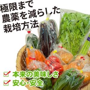 ふるさと納税 【12回定期便】蔬菜定期便 お米と時季のやさい 8作目 蔬菜 定期便 / ながさき南部地方 [SBW015] 長崎県南島原市