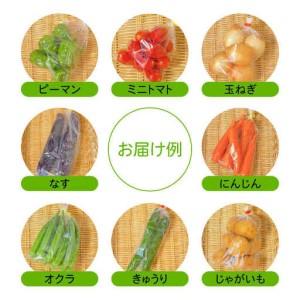 ふるさと納税 【12回定期便】蔬菜定期便 お米と時季のやさい 8作目 蔬菜 定期便 / ながさき南部地方 [SBW015] 長崎県南島原市